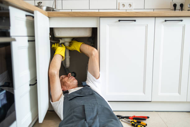 Best Local Plumber Services  in Tres Arroyos, NM